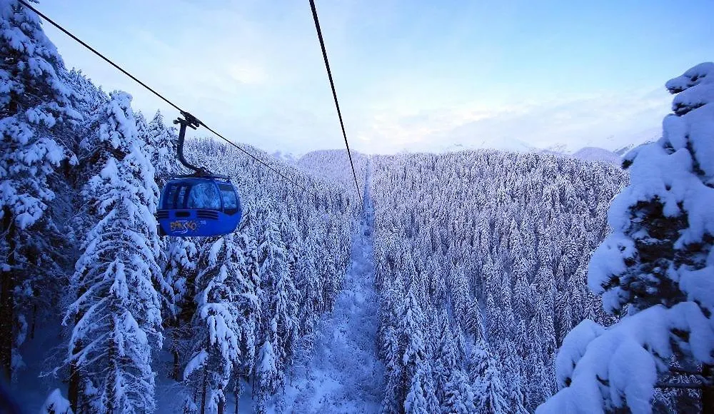 Green Life Bansko, 1 Bedroom Private Apartment D4  Bansko